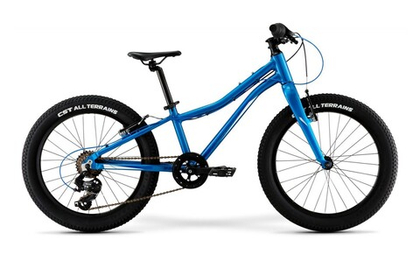 Детский велосипед Merida Matts J.20+ Eco (2022)