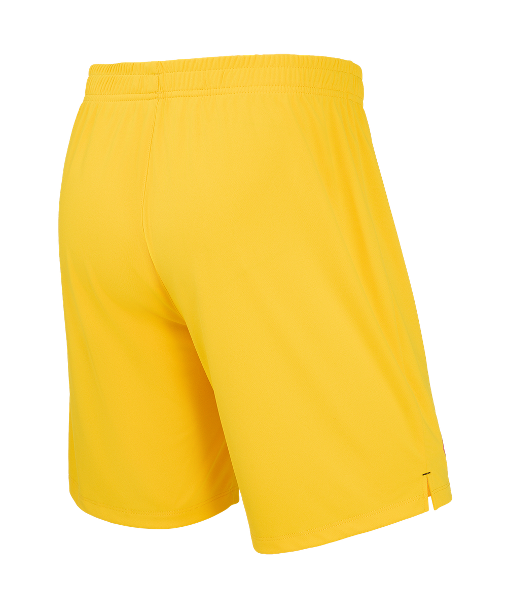 Шорты вратарские Jögel PerFormDRY Spartak 25 GK Shorts, желтый