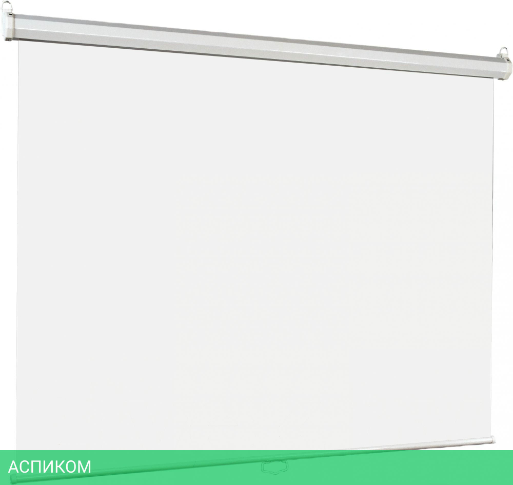 Проекционный экран Lumien Eco Picture (LEP-100101)
