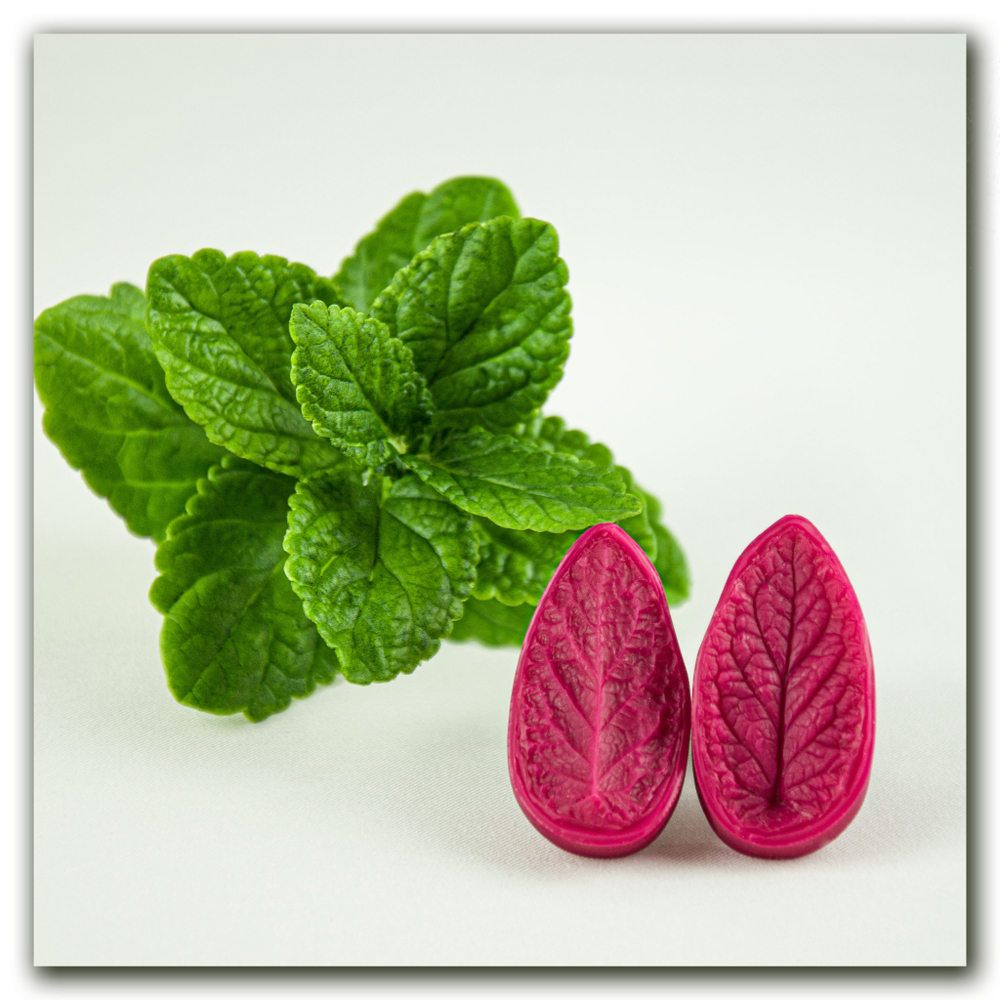 молд мелиссы