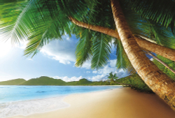 Коллекция Морской пейзаж