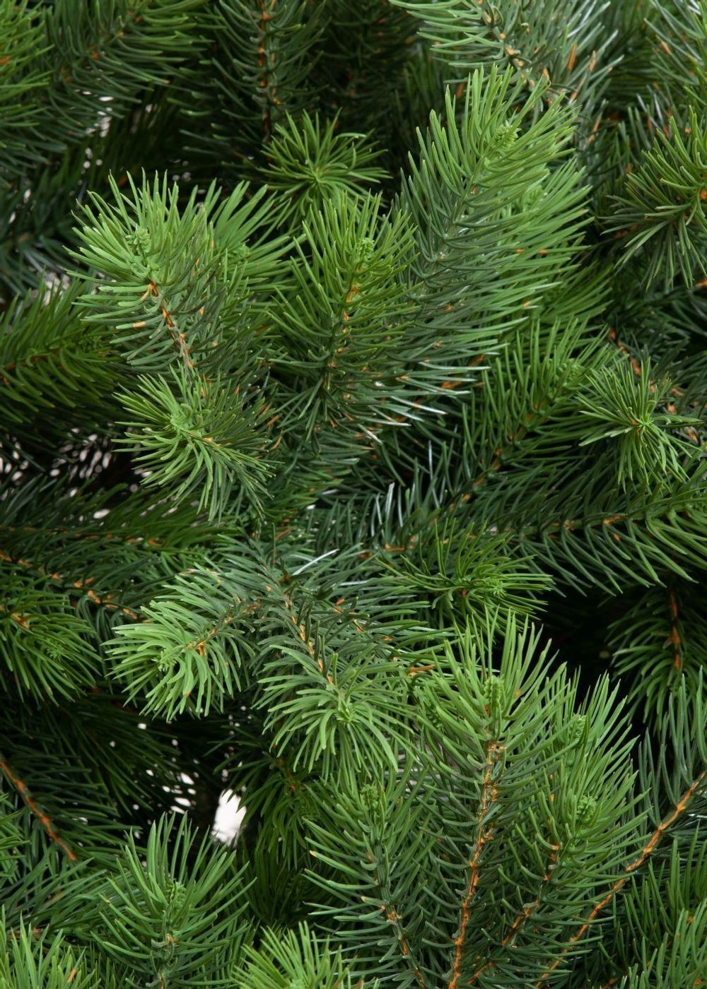 Ель искусственная «Таёжная» (Литая хвоя) 240 см / 2,4 м