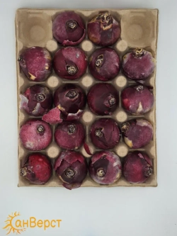 Гиацинты луковицы для посадки 10 шт. Микс цветов