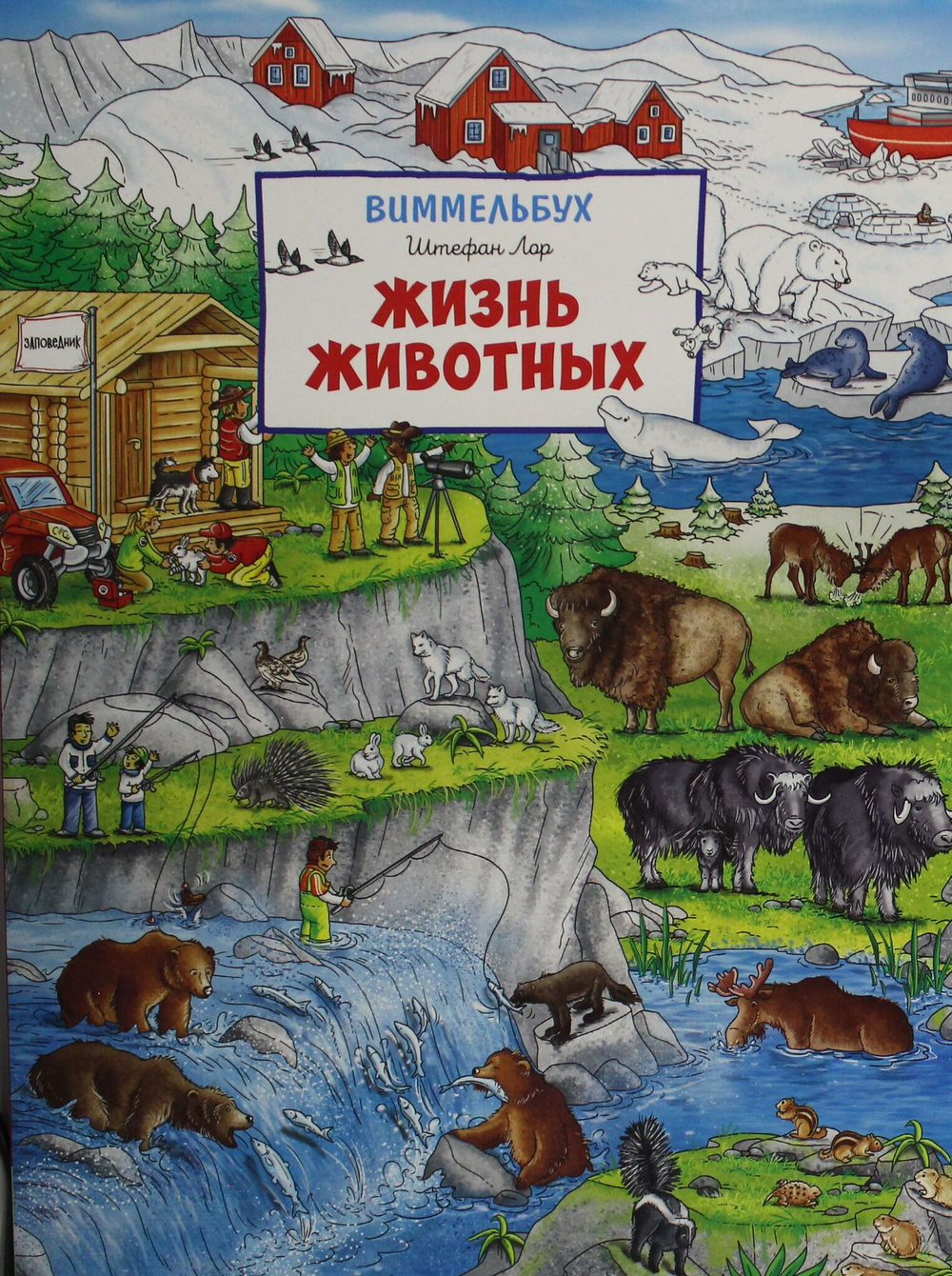 Жизнь животных. Виммельбух (нов.)