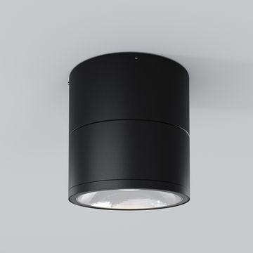 Потолочный светильник Outdoor O310CL-L12GF3K