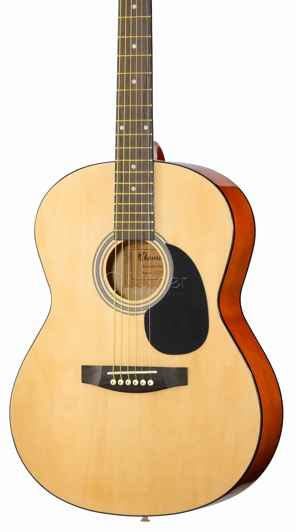 Акустическая гитара HOMAGE LF-3900