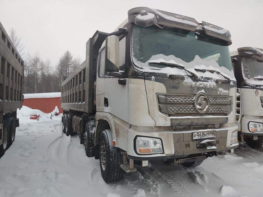 Shacman (Shaanxi) SX* 8x4 Самосвал SX33186W366C (Дизельный, 10,8 л, 441 л.с., МТ)