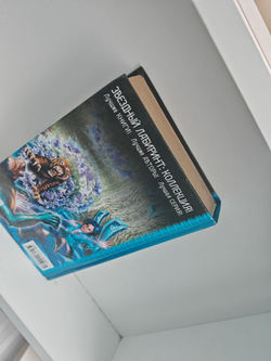 Ночной дозор. Дневной дозор