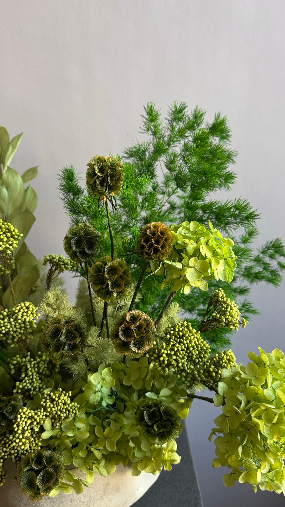 Композиция в кашпо Озотамнус