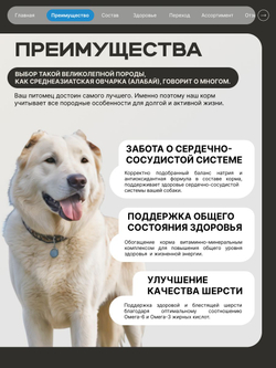 Корм сухой для взрослых собак породы Среднеазиатская овчарка (Алабай), премиум полнорационный комплекс, с лососем, 2,5 кг, QUATTRO