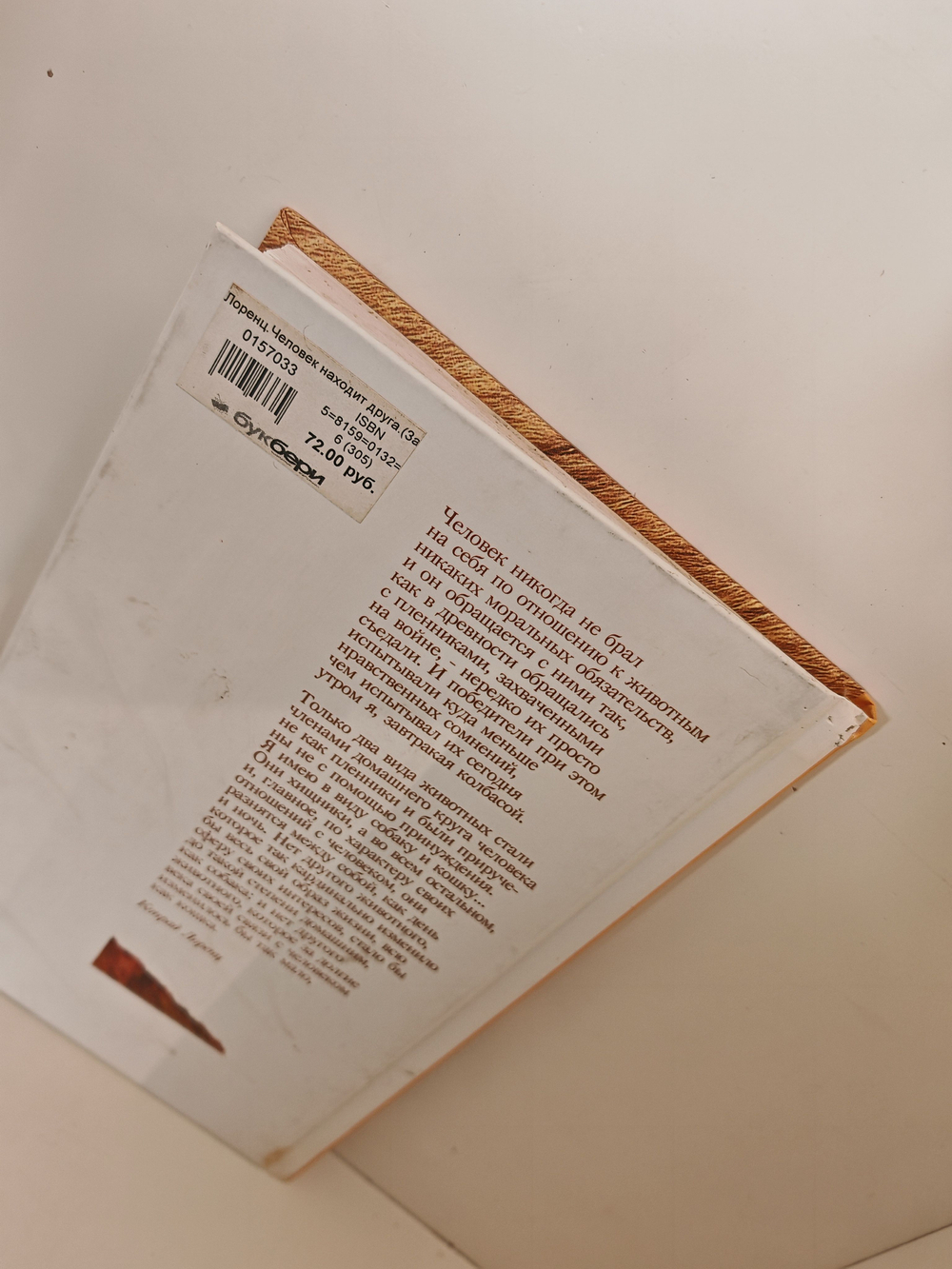 Человек находит друга