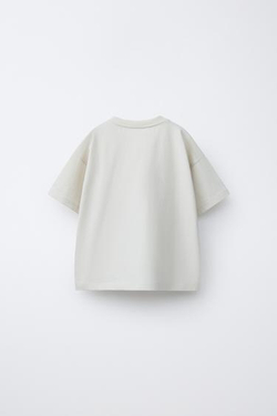 ZARA ФУТБОЛКА С ПРИНТОМ, КАМЕННО-СЕРЫЙ