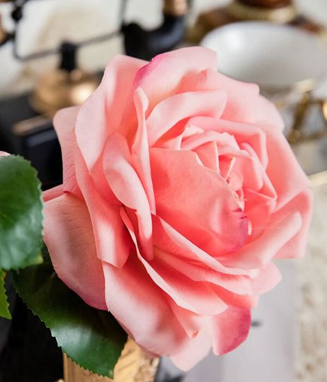 Роза чайная розовая в темной вазе, Cote Noire