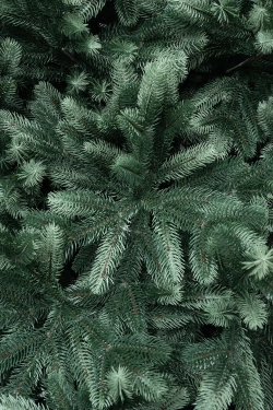 Искусственная ель Царская 6 м., ствольная, интерьерная, 100% литая хвоя, ЕлкиТорг (194600)