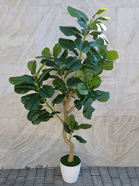 Искусственное растение Фикус Лирата зеленый 160см в кашпо