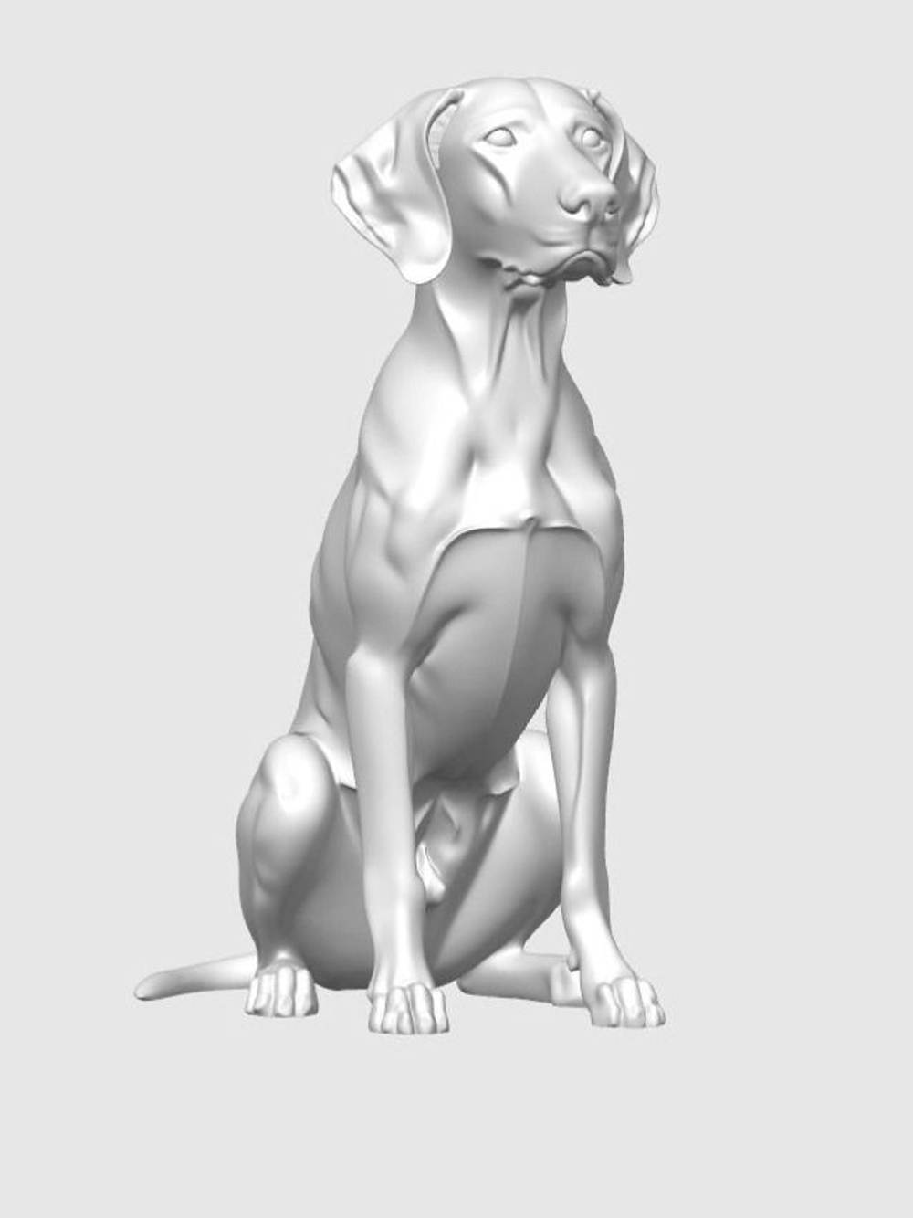 Немецкая короткошерстная легавая