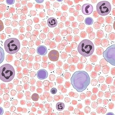 Клетки крови под микроскопом № 5.