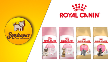 Акция Royal Canin для котят