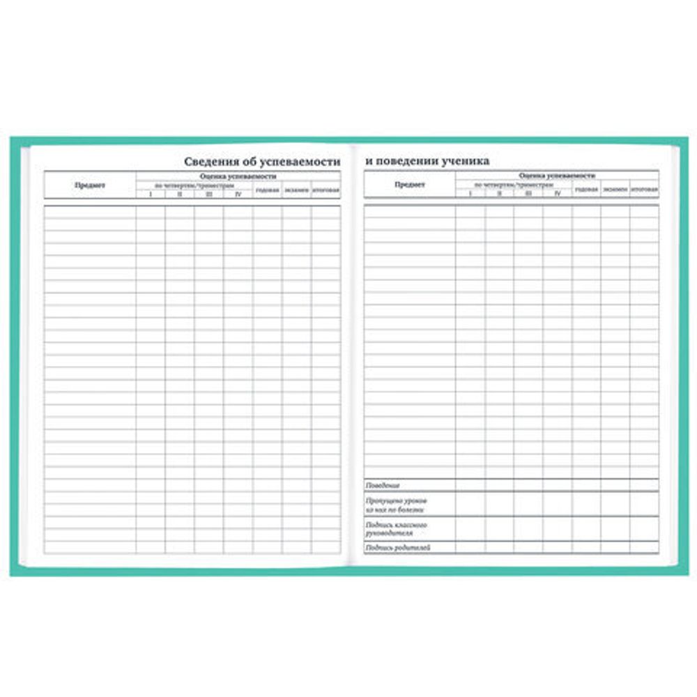 Дневник 1-11 класс 40 л., твердый, BRAUBERG, матовая ламинация, АССОРТИ, 107165