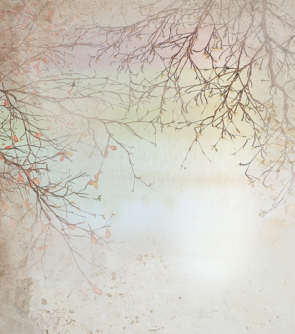 Коллекция VETVE