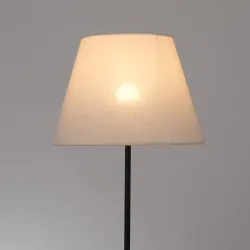 Торшер Arte Lamp ALEA
