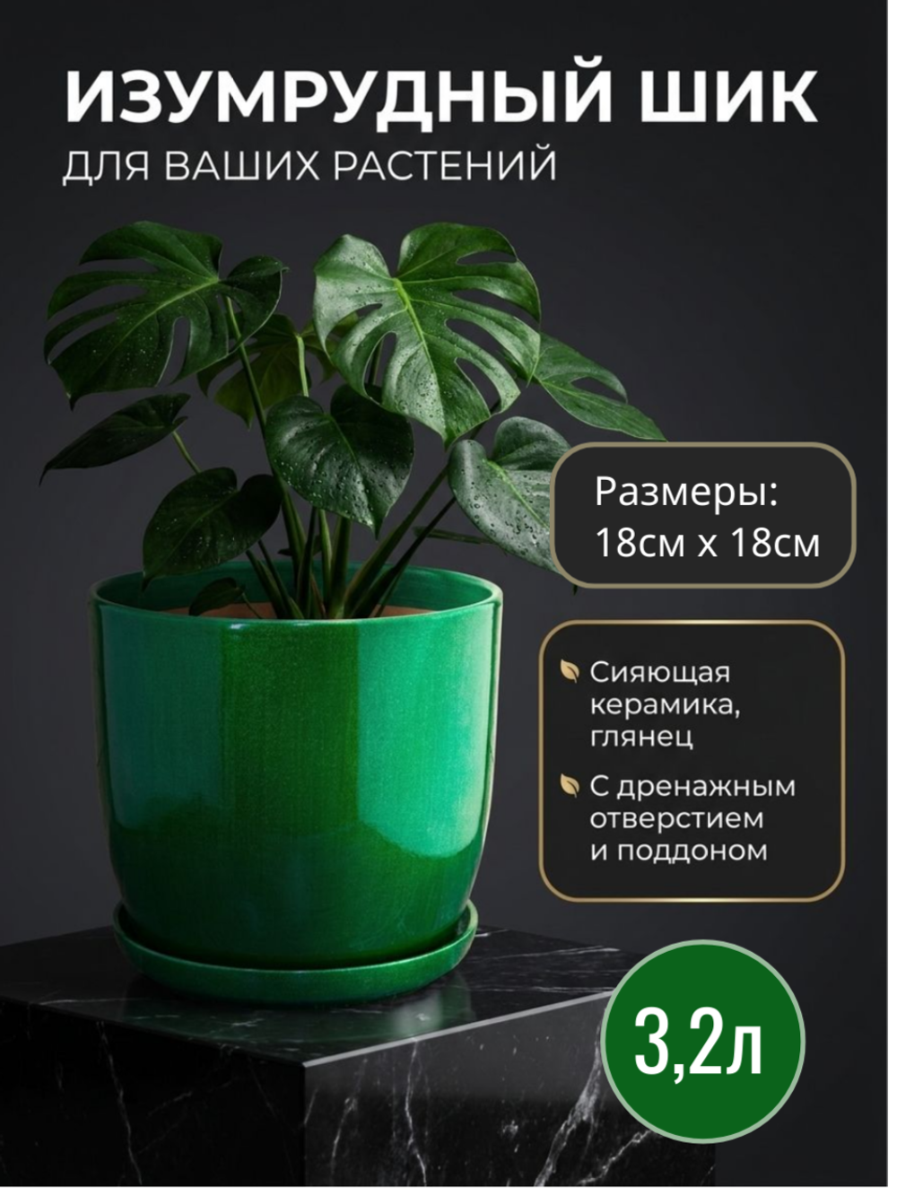 верона зел3,2