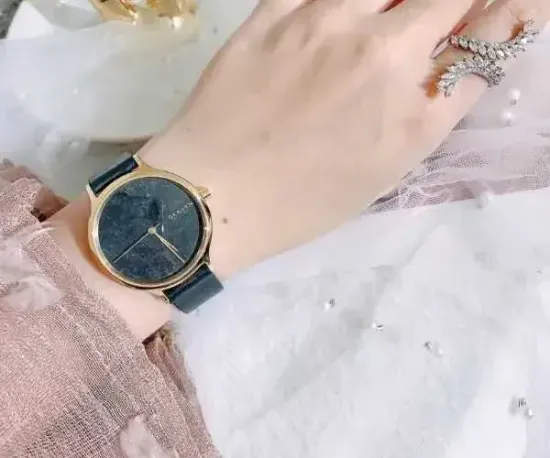 Женские часы Skagen SKW2720