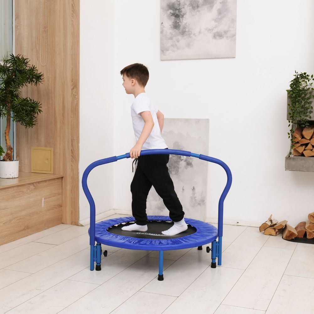 Батут с поручнем DFC Gardenature 36&#39;&#39; синий