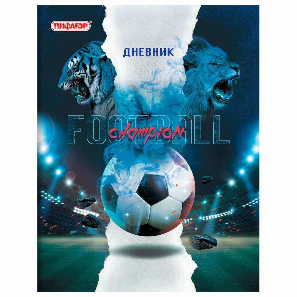 Дневник 1-11 класс 40 л., на скобе, ПИФАГОР, обложка картон, "Football", 106341