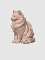 Сибирская кошка
