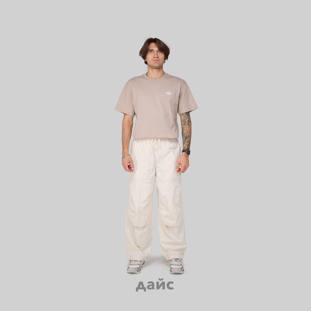 Брюки мужские Dickies Fishersville Pant
