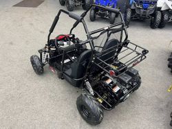 Багги SHARMAX Тигр 250