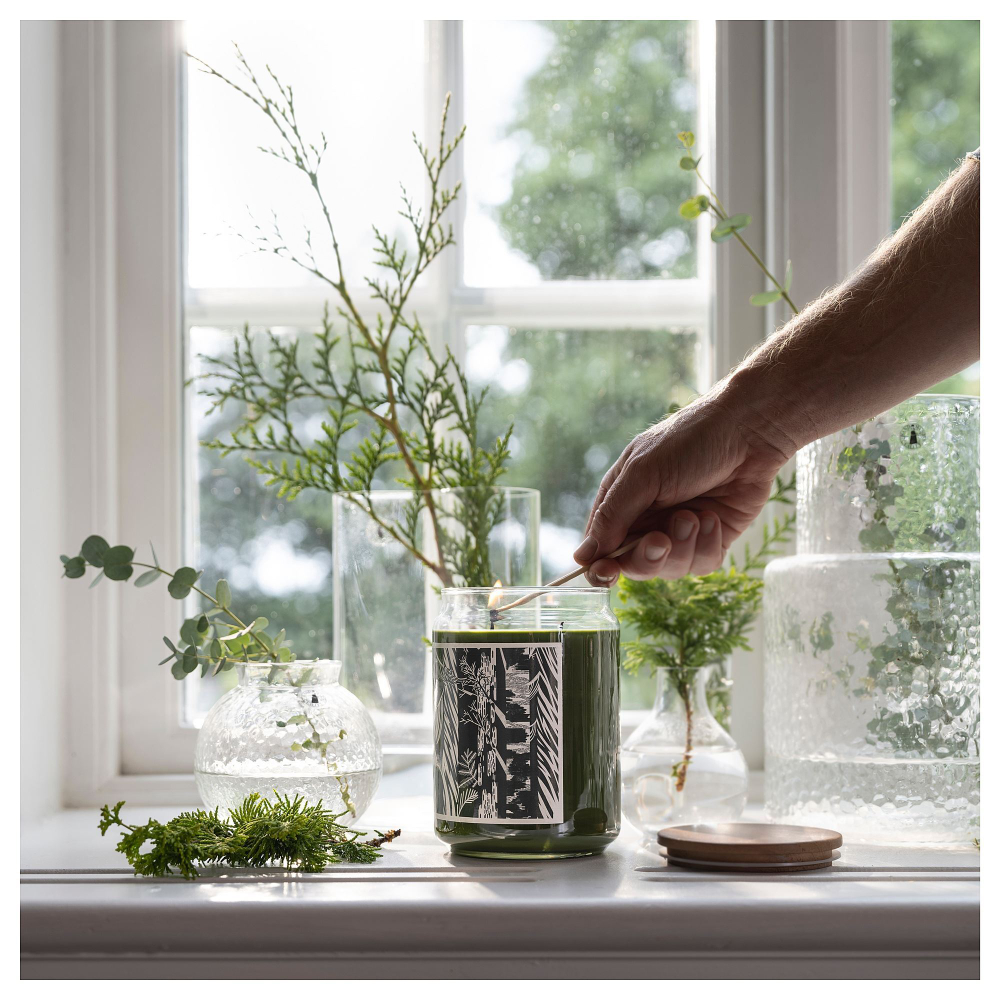 Свеча ароматическая IKEA JAMTSKOGEN (ЯМЦКОГЕН), Сосна и мох, Темно-зеленый, 100 часов