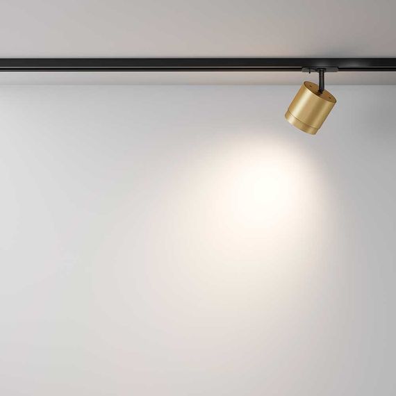 Трековый светильник Maytoni Technical Single phase track system Unity Polar TR088-1-GX53-MG