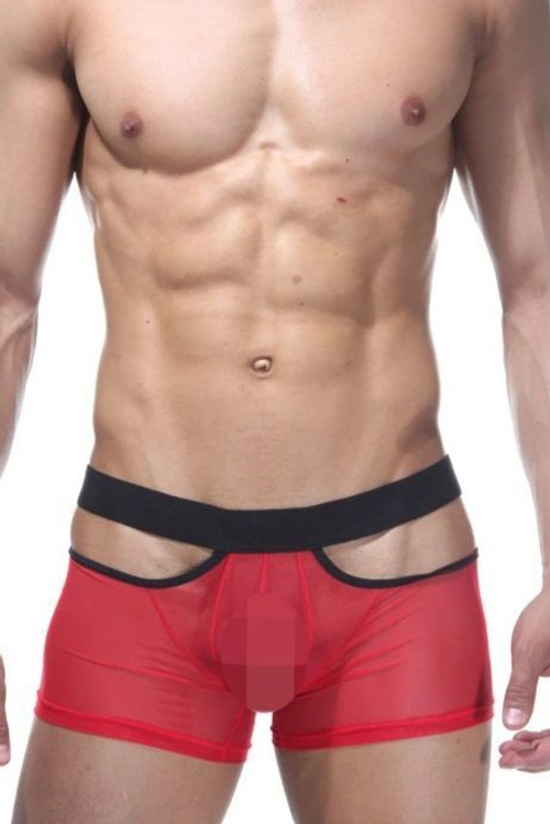 Откровенные трусы-боксеры из полупрозрачной ткани