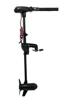 Электромотор Haswing PROTRUAR 1.0