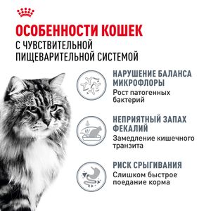 Сухой корм Royal Canin Digestive Care для взрослых кошек для поддержания здоровья пищеварительной системы