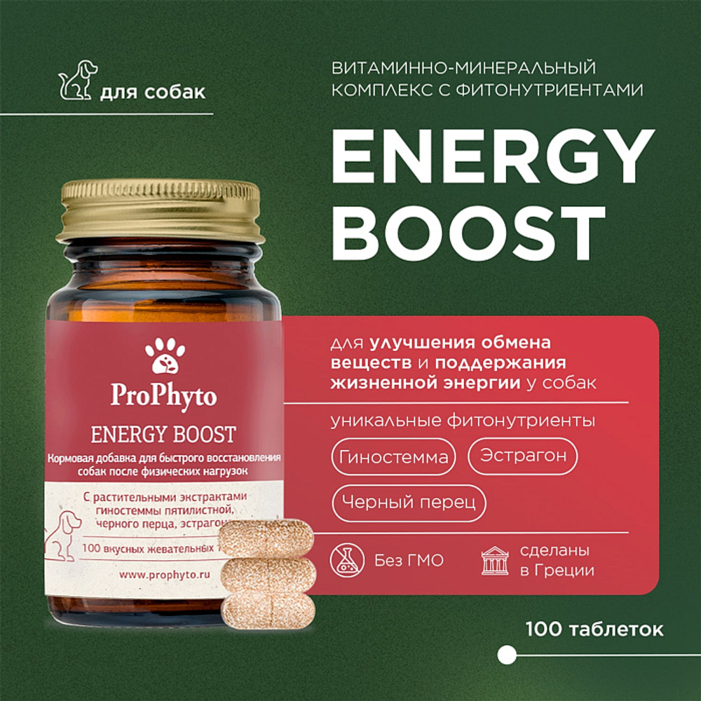 ProPhyto Энерджи Буст, 100 таблеток