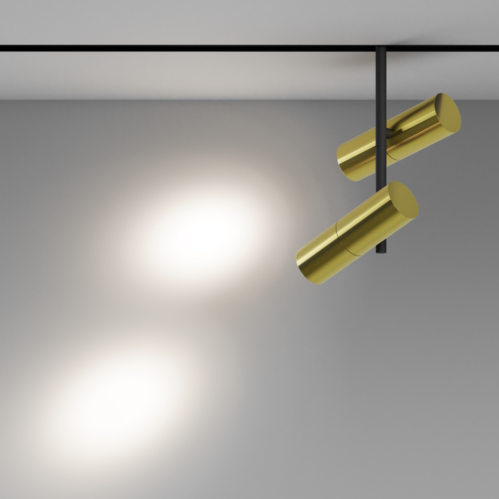 Магнитный трековый светильник Maytoni Elti Duo TR005-2-2X12W4K-BBS