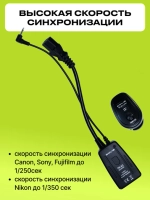 Комплект импульсного света Raylab Axio IV 250 Start Kit