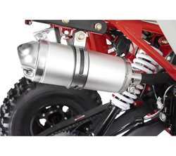 Квадроцикл WELS Thunder EVO X