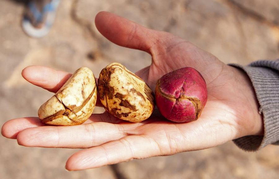 К 23 февраля.  История Шоколада  не просто десерта, а настоящего помощника в борьбе за победу.