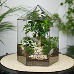 Флорариум бонсай Хижина