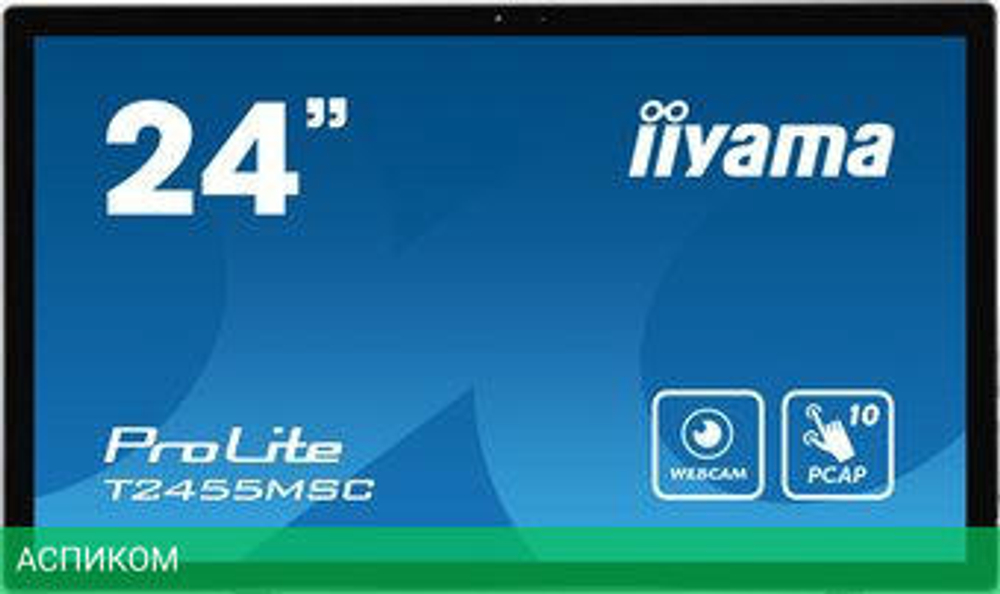 Портативный монитор Iiyama ProLite T2455MSC-B1