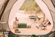 Портативный газовый гриль Weber Traveler, 1 горелка, чёрный