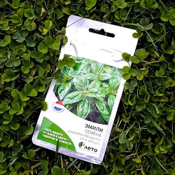 Семена базилика овощного Эмили, Enza Zaden