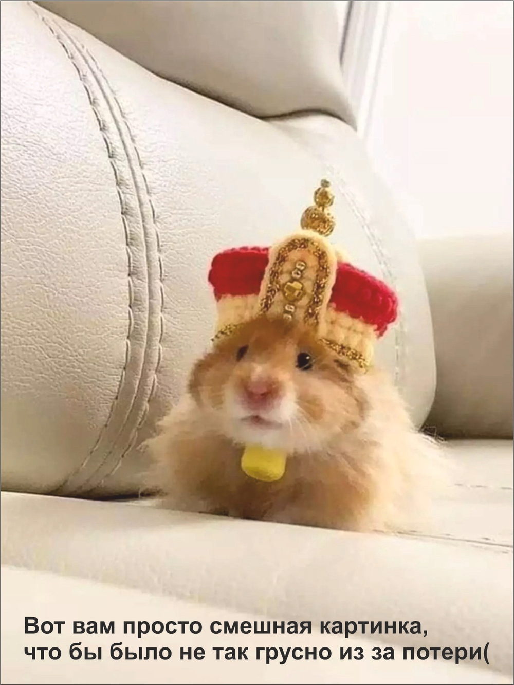 Гроб для грызуна, для хомяка