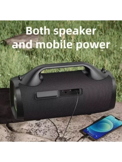 Колонка S79 100W black