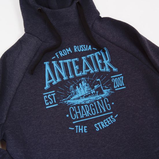 Толстовка Anteater hoodie AURORA