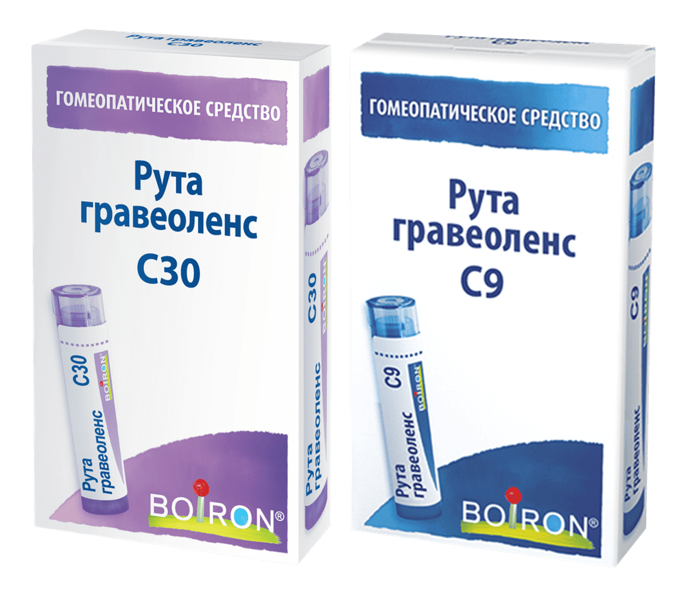 РУТА ГРАВЕОЛЕНС C30